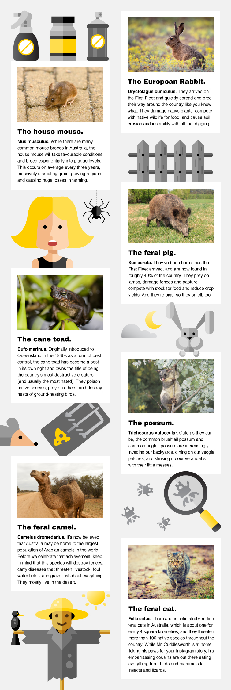 yel148_infographic_biggest_pests